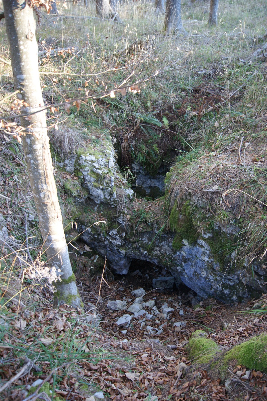 Wildemaennlisloch in Austria