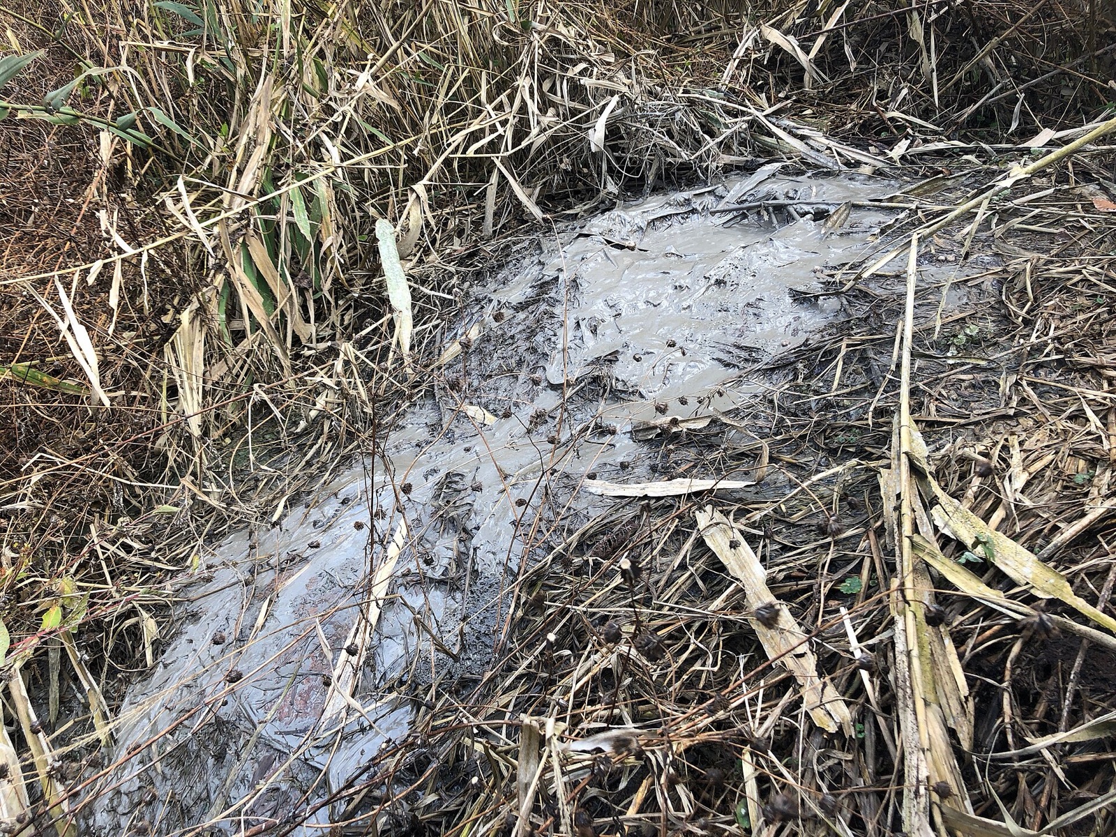 Gamou mud volcano in Japan