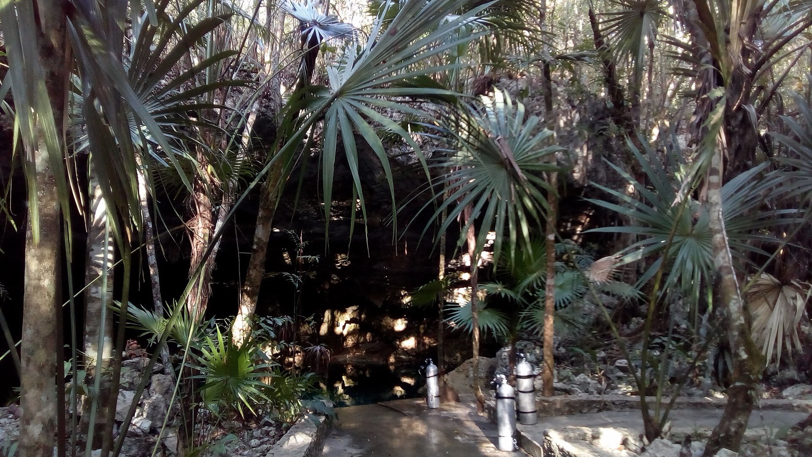 Cenote Tajma-Ha in Mexico