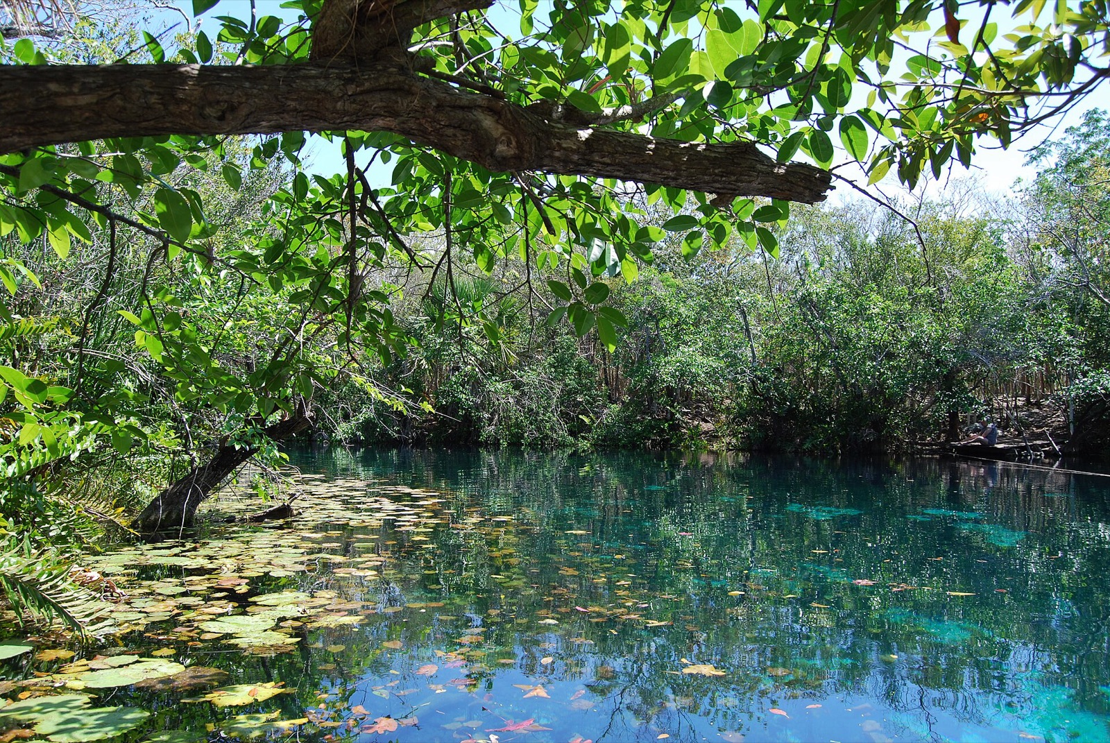 Cenote Car Wash in Mexico
