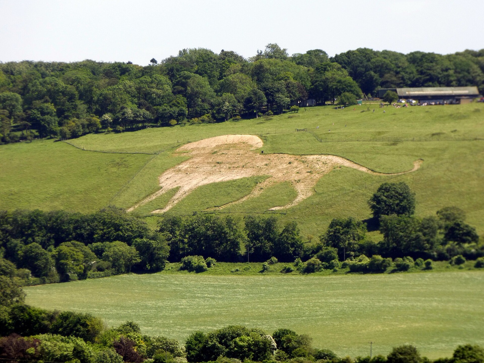 Whipsnade White Lion in United Kingdom