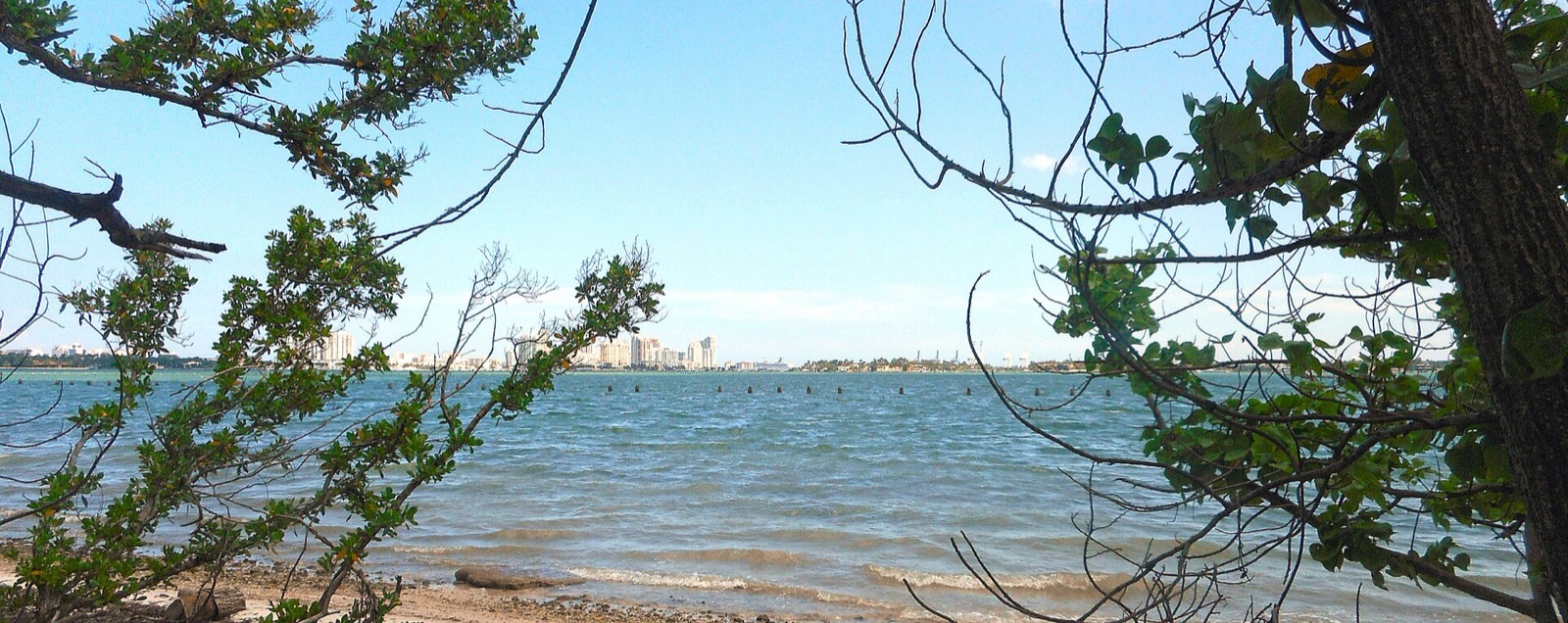 Isola di Lolando in United States