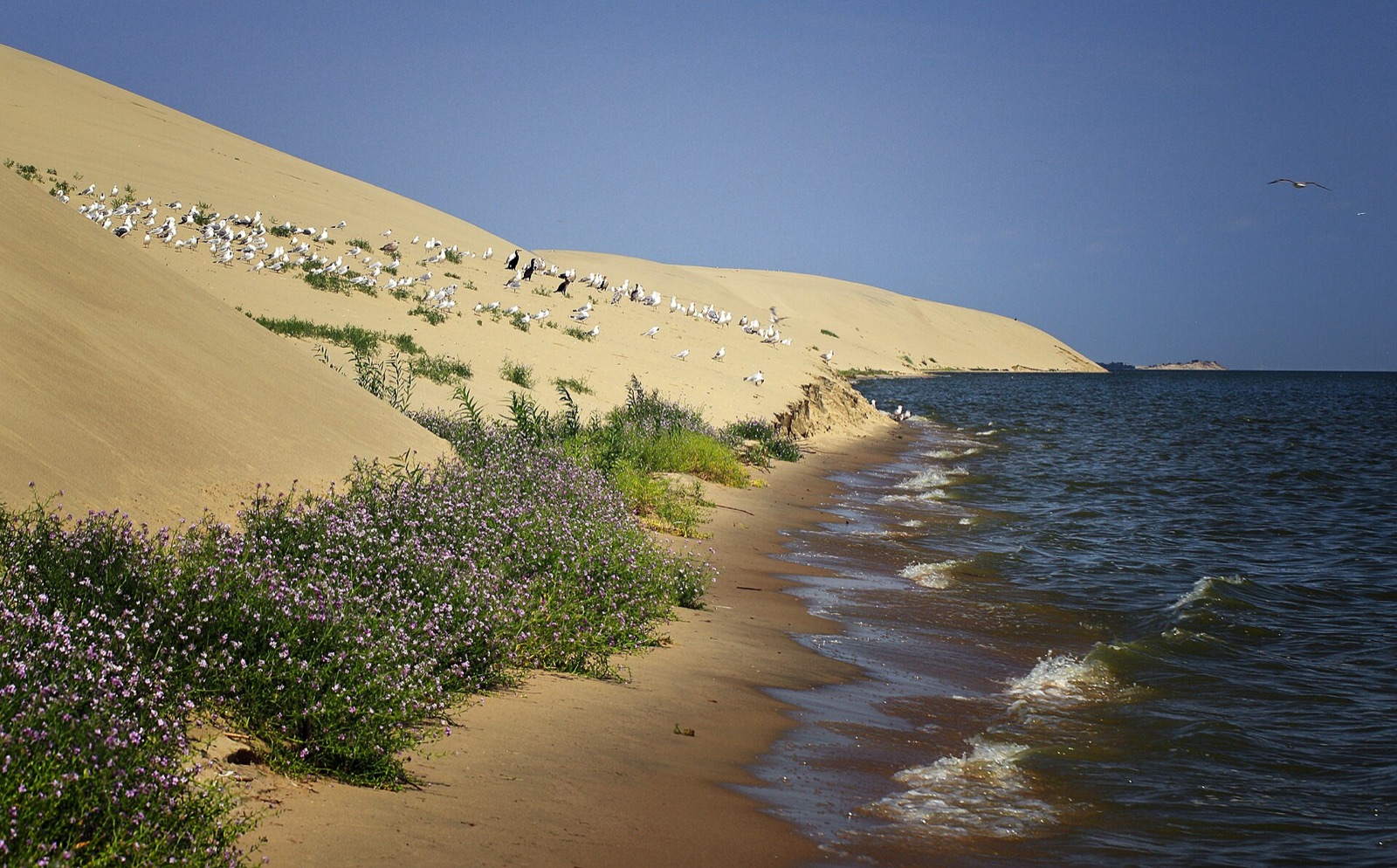 Kaliningrad Oblast in Russia