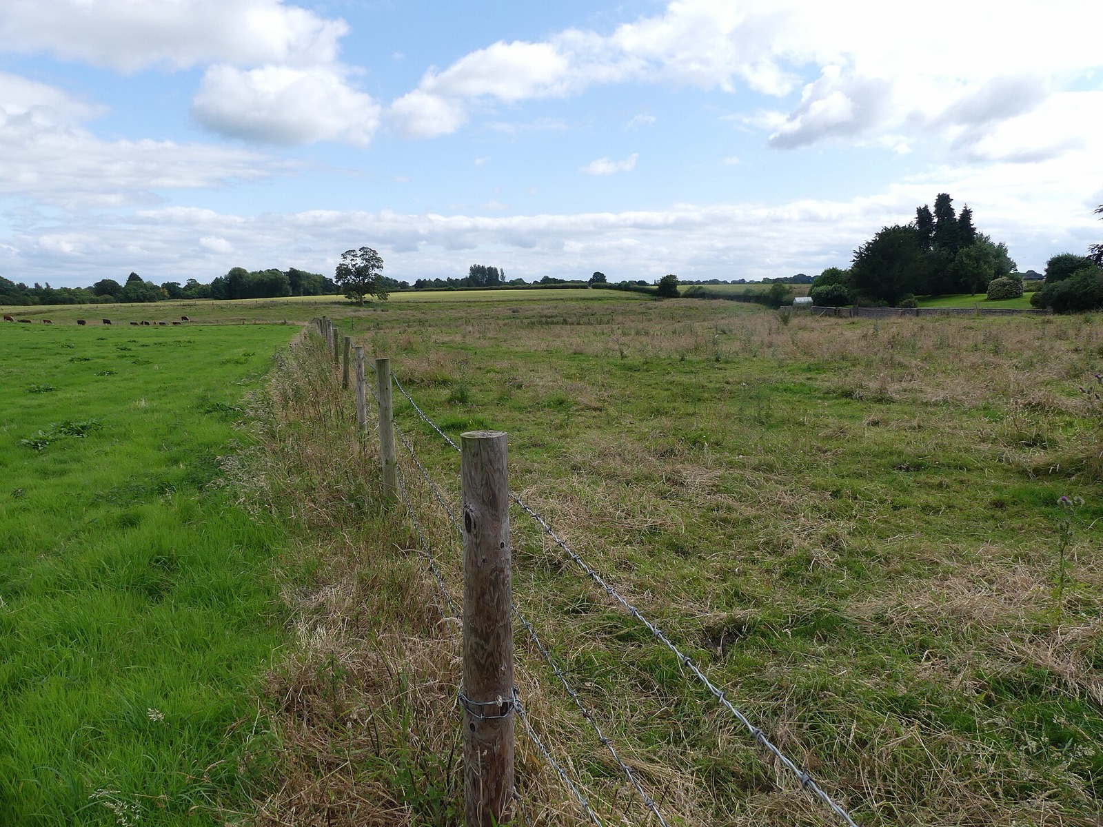 Medieval village remains 230m east of Baddiley Hall in United Kingdom