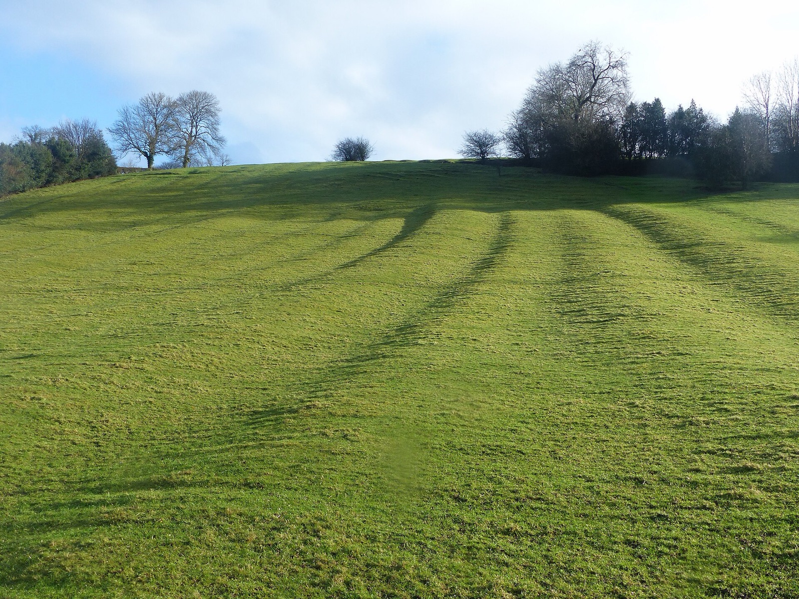 Medieval settlement including part of open field system, 200m south of Bank Farm in United Kingdom