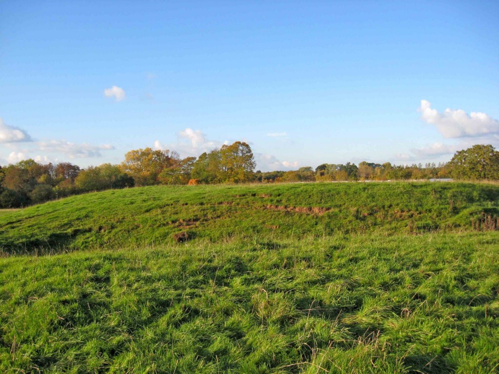 Medieval settlement immediately surrounding St Michael's Church in United Kingdom