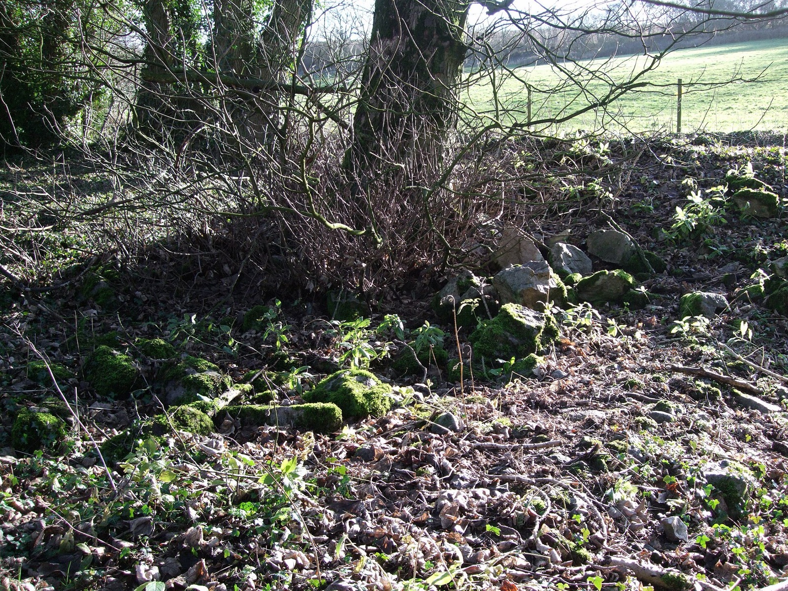 Medieval settlement and prehistoric field system 520m north east and 760m east of Snap Farm in United Kingdom