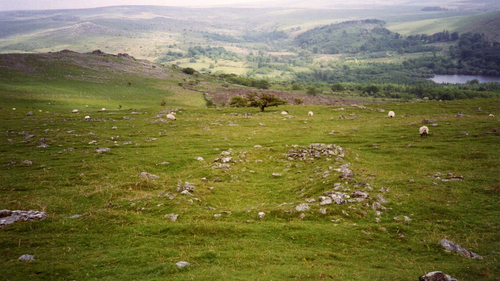 Medieval settlement on Peek Hill, 240m and 280m north east of Lowery Tor in United Kingdom