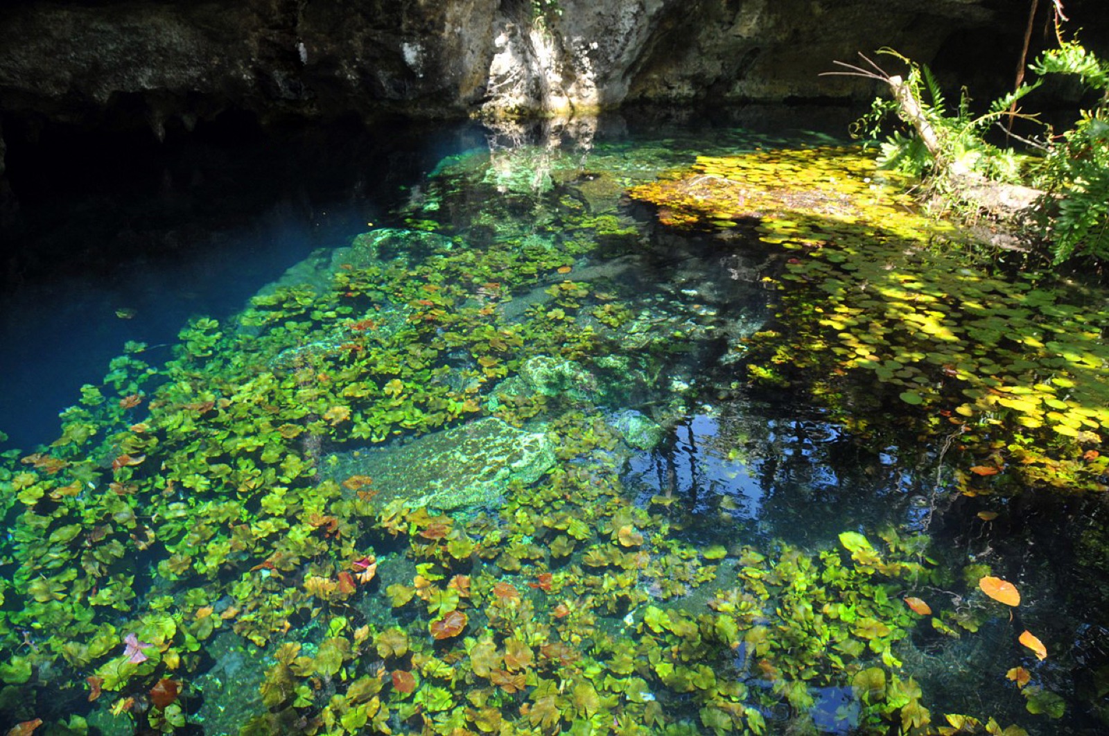 Sistema Sac Actun in Mexico