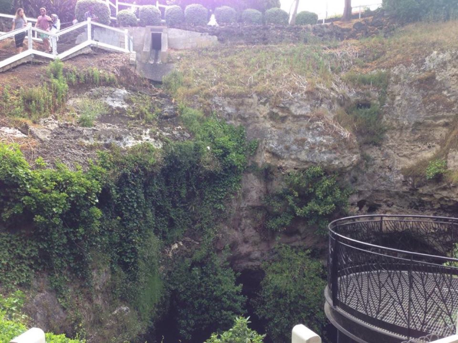 Cave Garden / Thugi in Australia