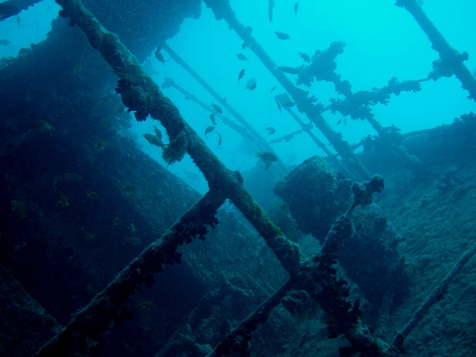 SS Thistlegorm in Egypt