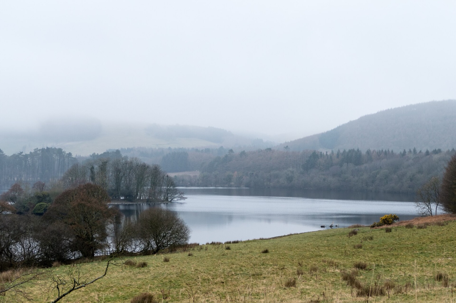 Black Loch Crannog in United Kingdom