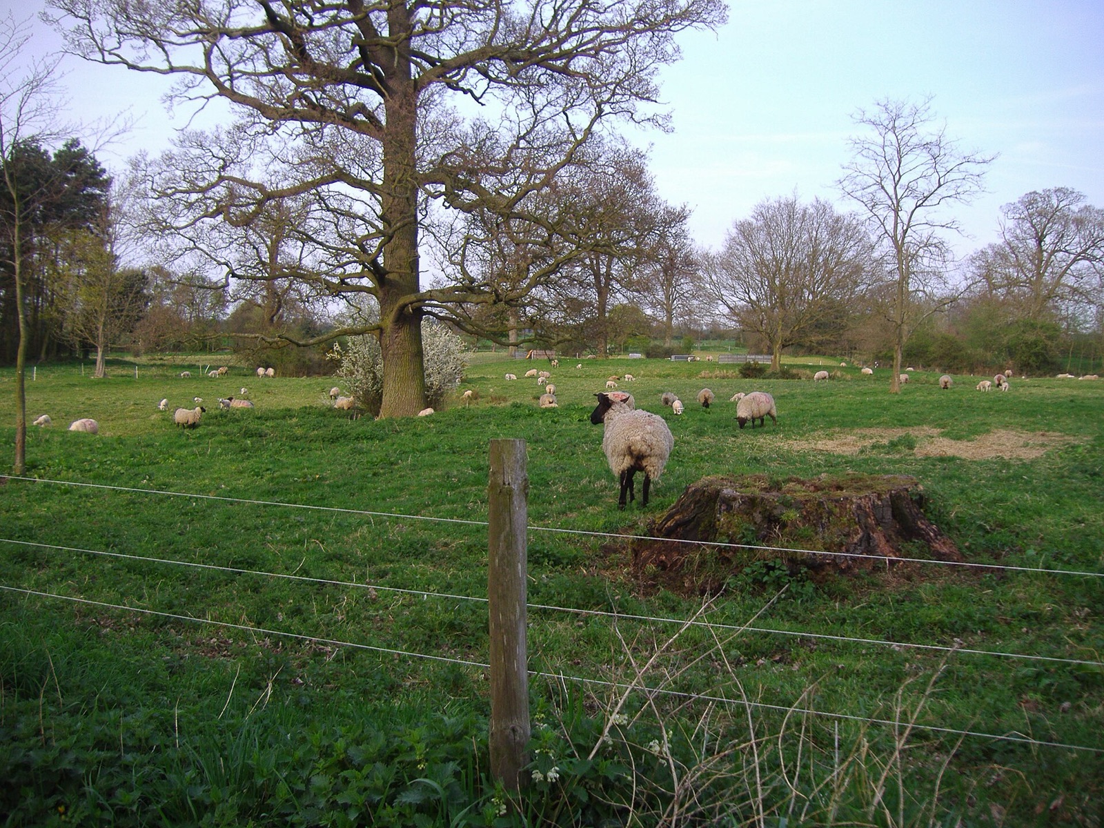 Alethorpe in United Kingdom