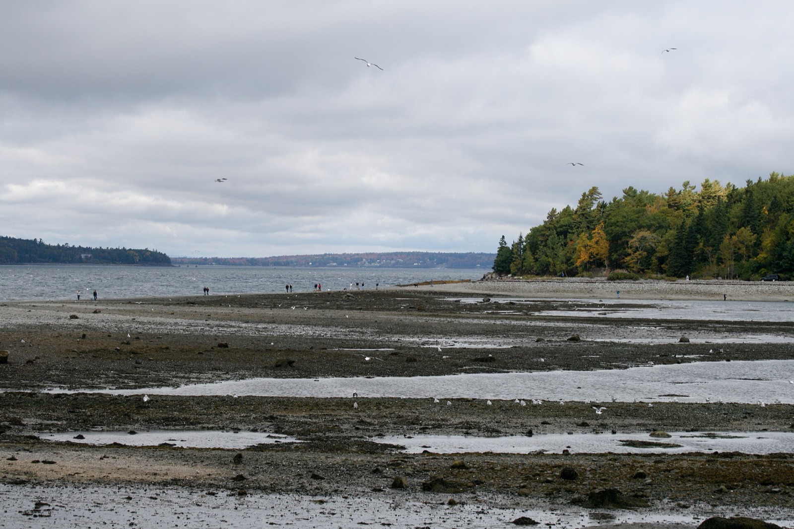 Bar Island in United States