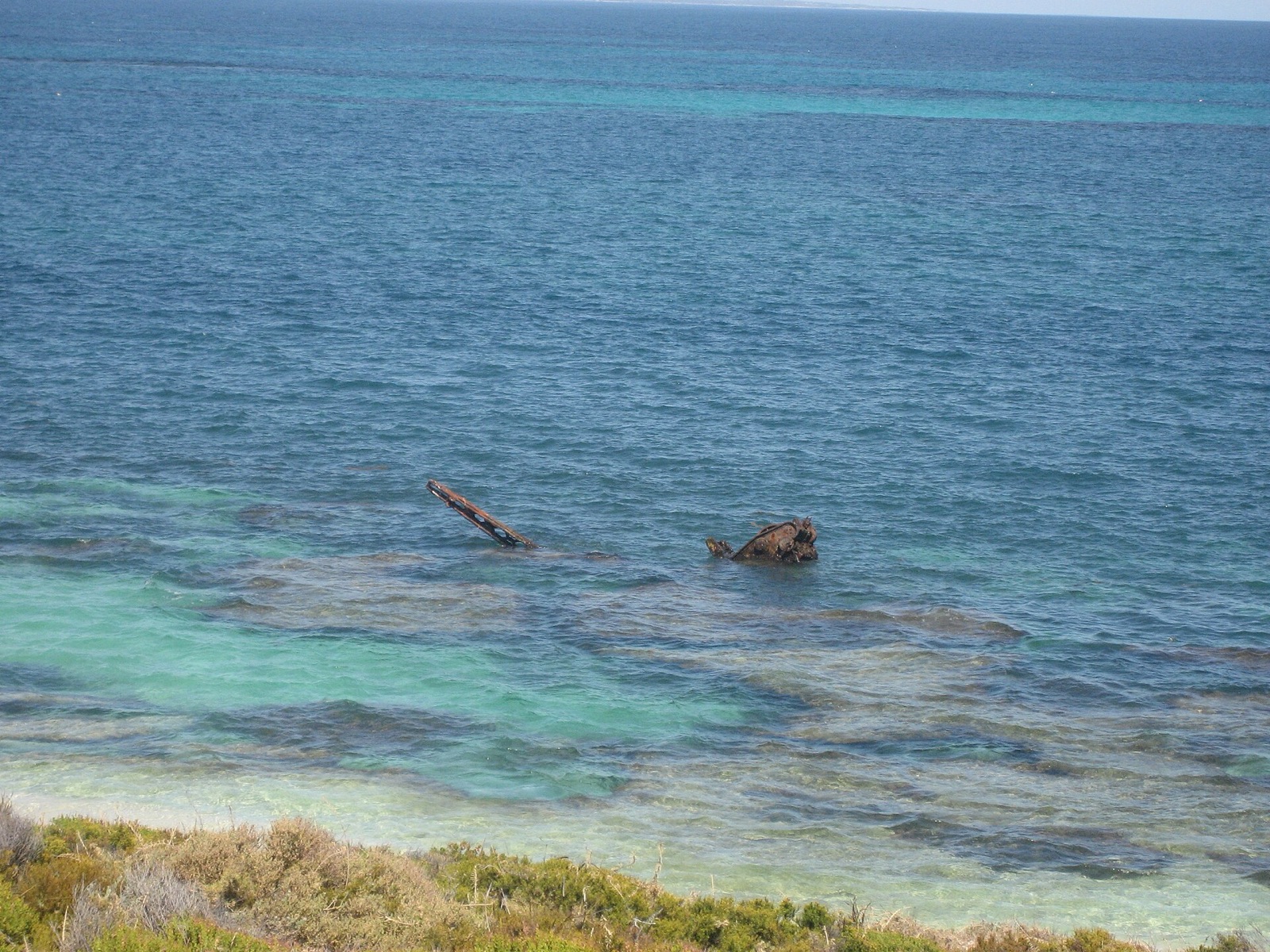 Shark in Australia