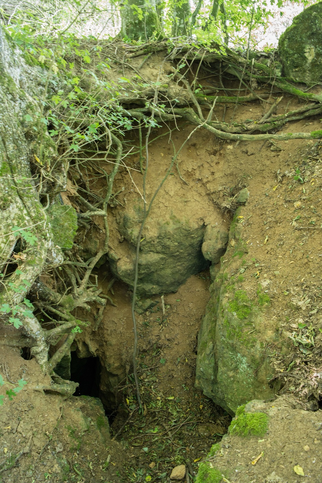 Ponordoline mit Höhle A269 in Germany