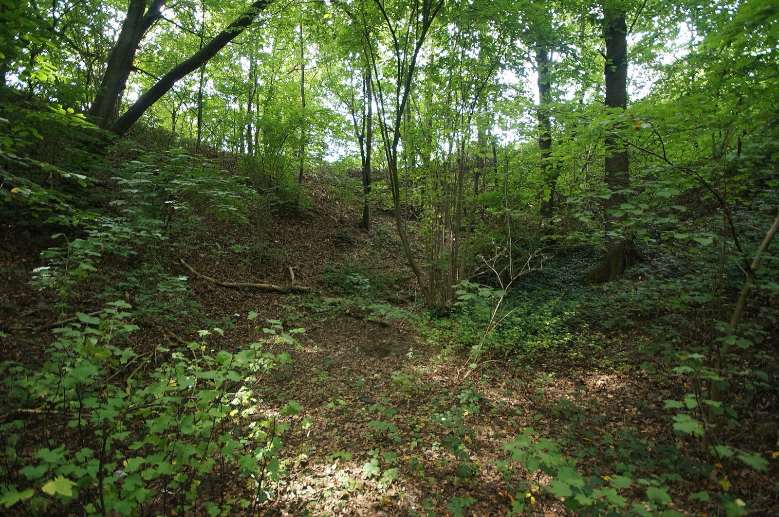 Große Doline Schauergrube W von Vorderkeilberg in Germany