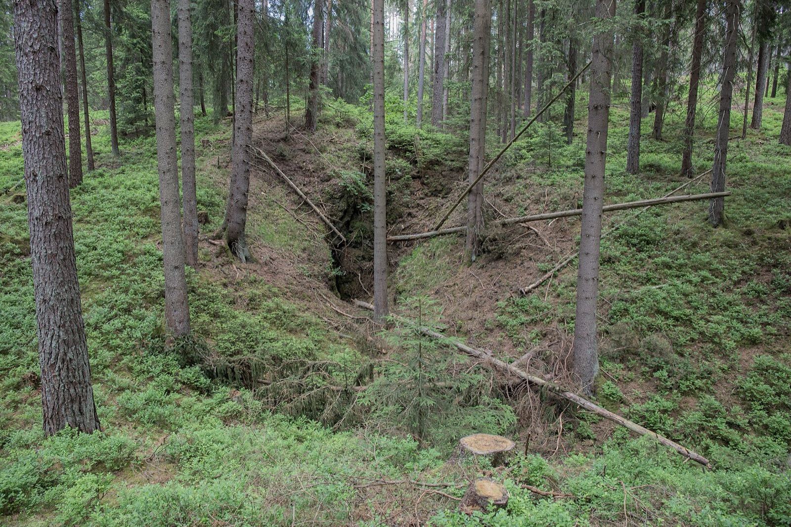 Doline mit Diebskeller (D214) SE von Bronn in Germany