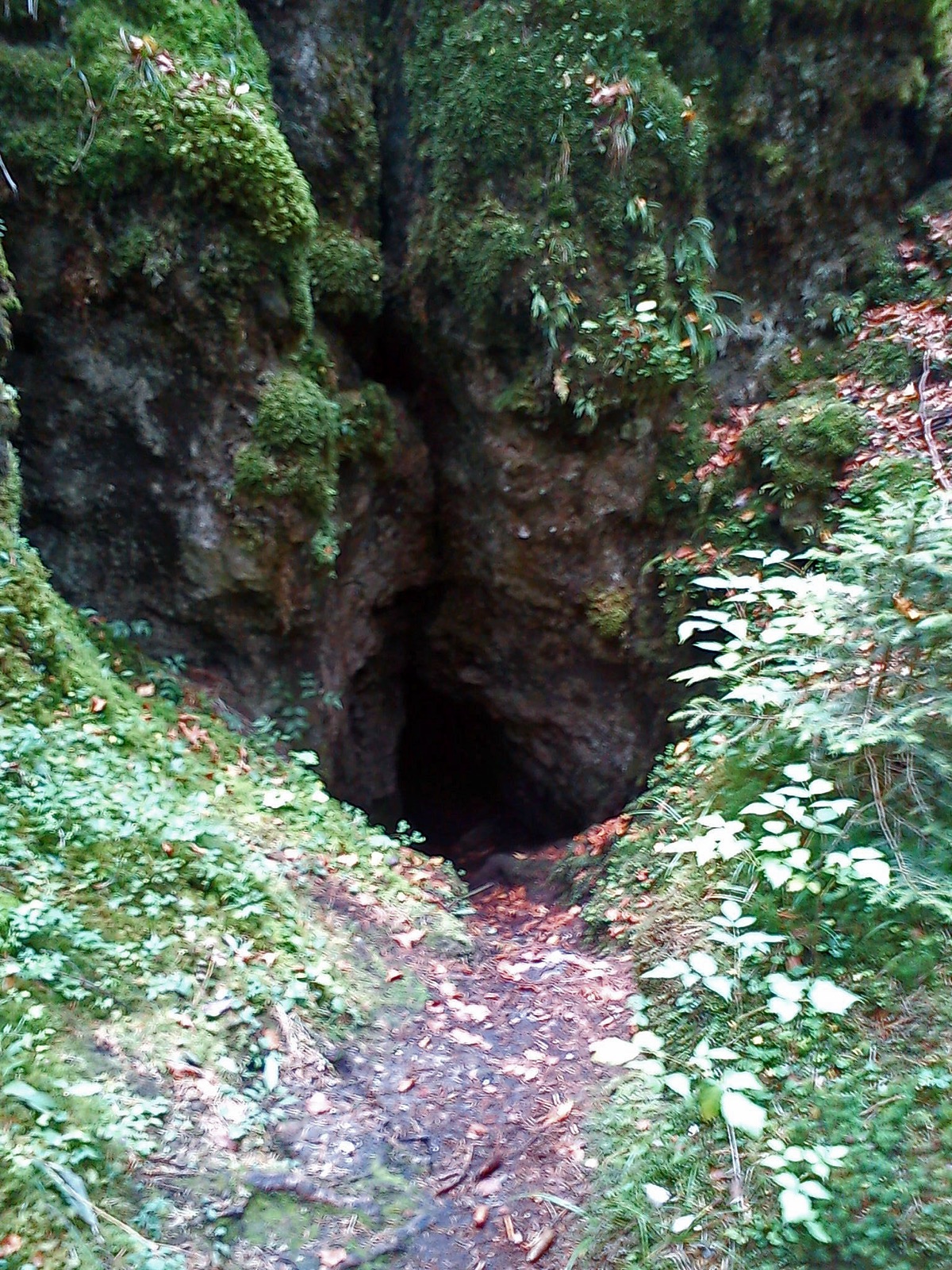 Einsturzdolinen Eislöcher (D71) SE von Bronn in Germany