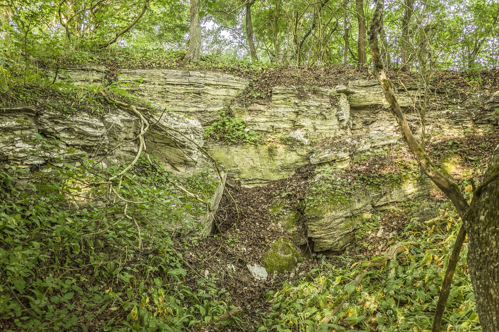 Ponordoline Hollergrube NNW von Sulzheim in Germany