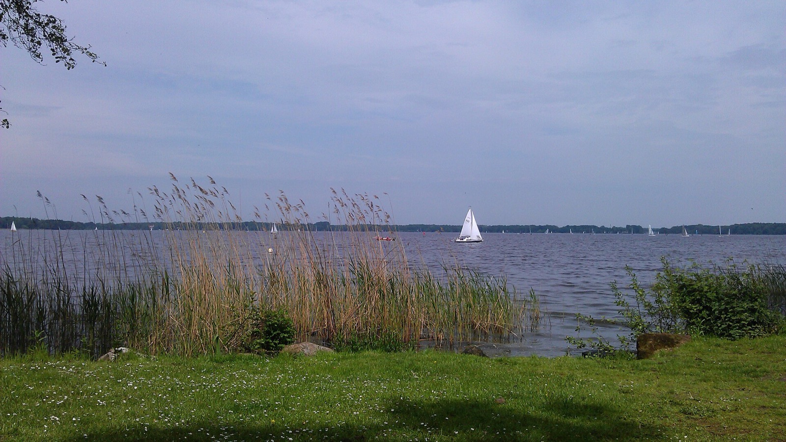 Zwischenahner Meer in Germany