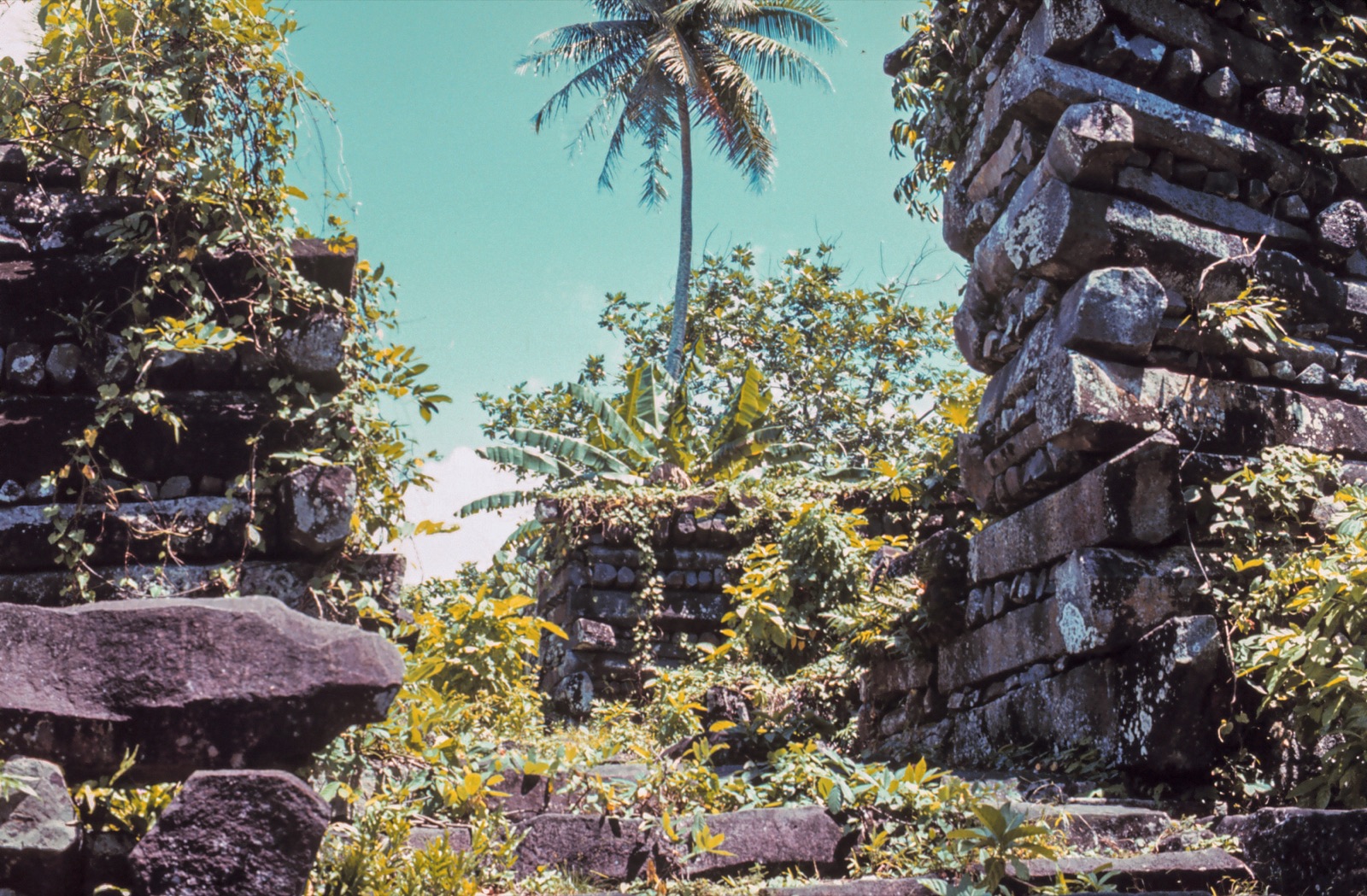Nan Madol in Federated States of Micronesia