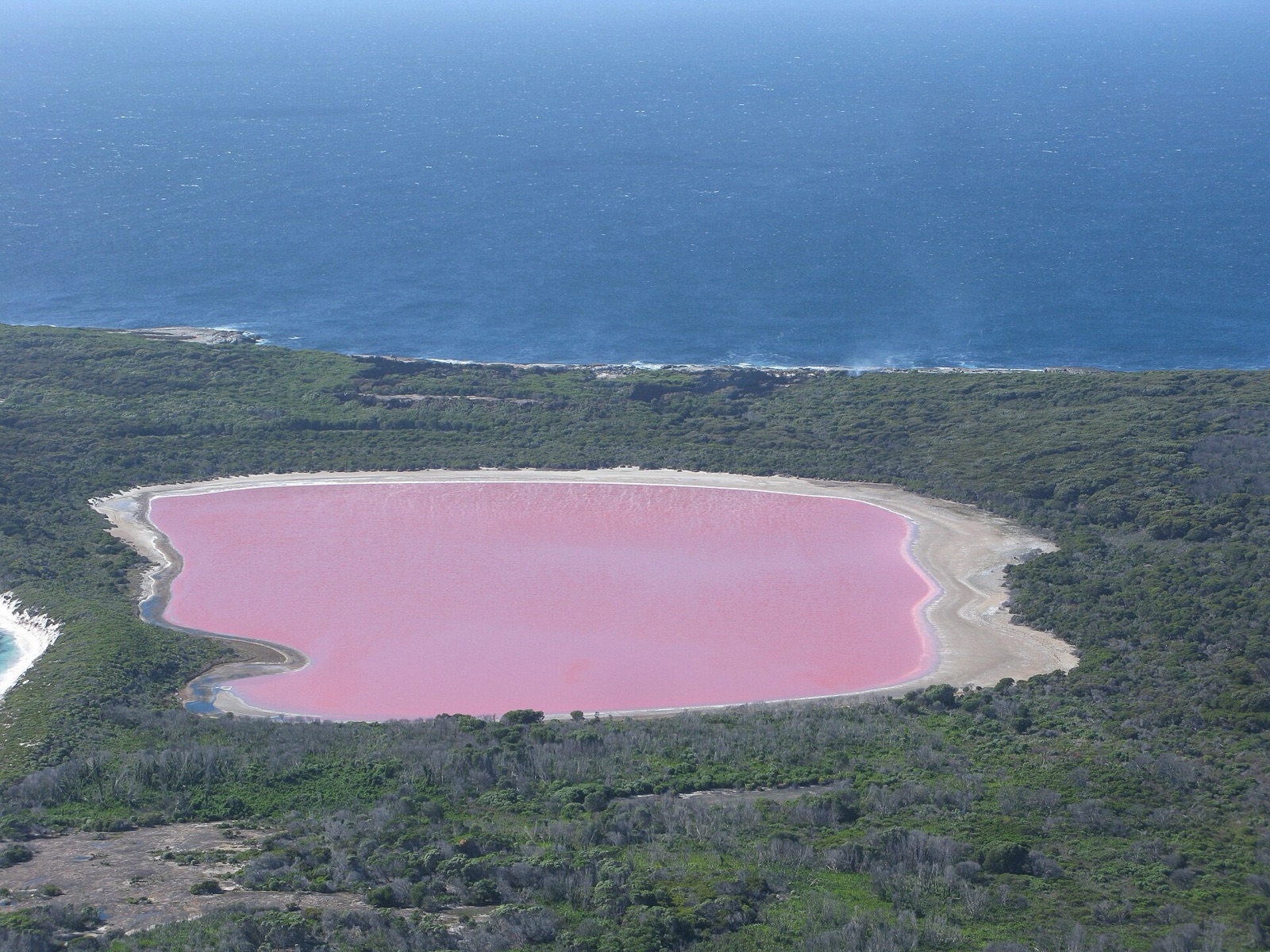 The permanently pink lake in Middle Island, Australia