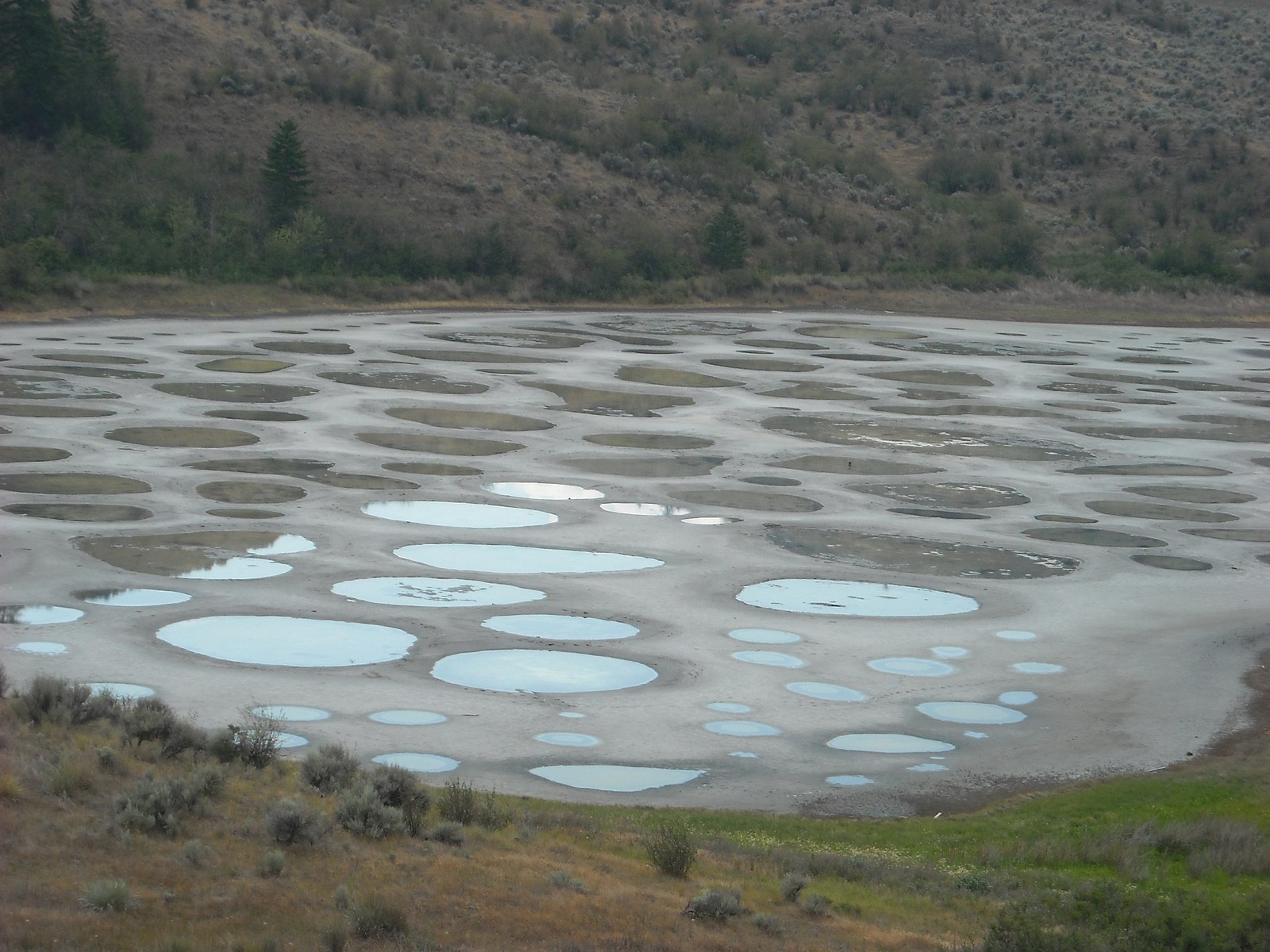 The lake that separates into spots in British Columbia, Canada