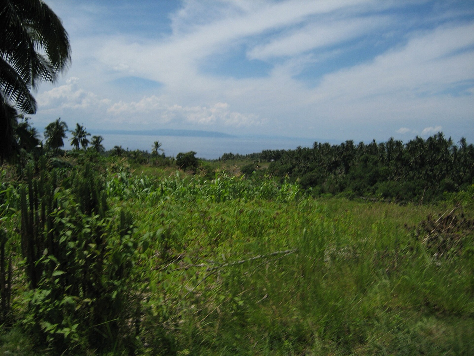 Bohol Island UNESCO Global Geopark in PH