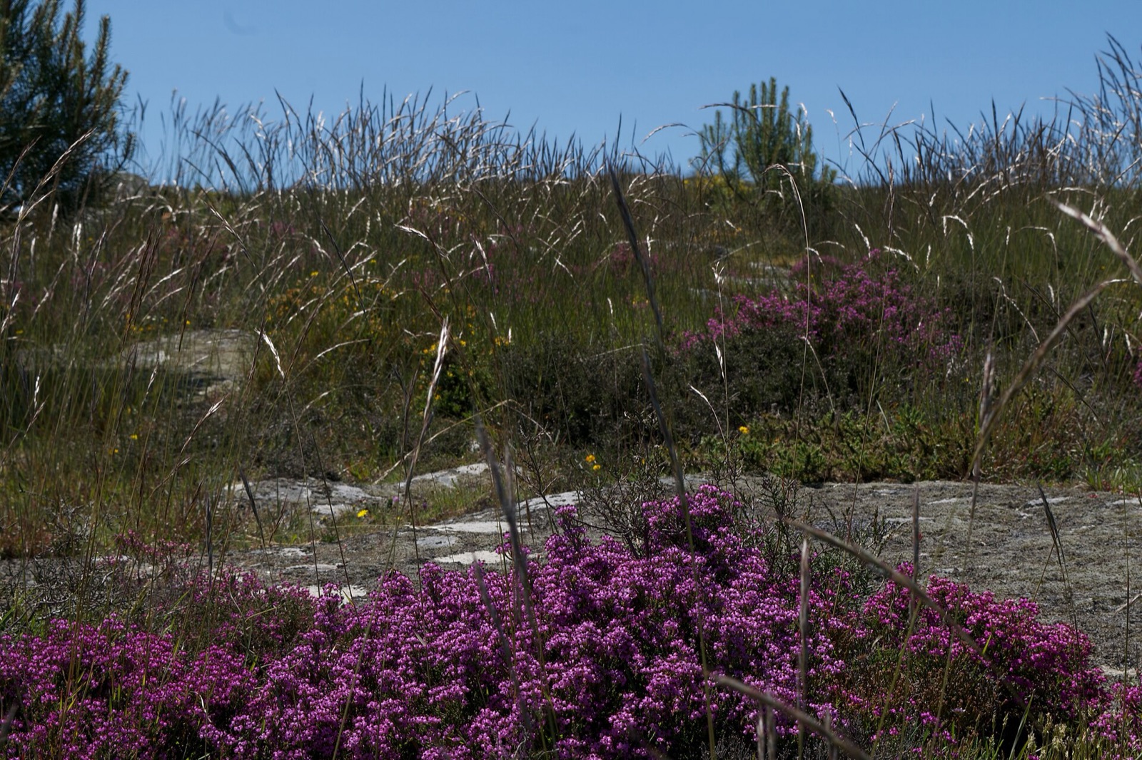 Arouca UNESCO Global Geopark in PT