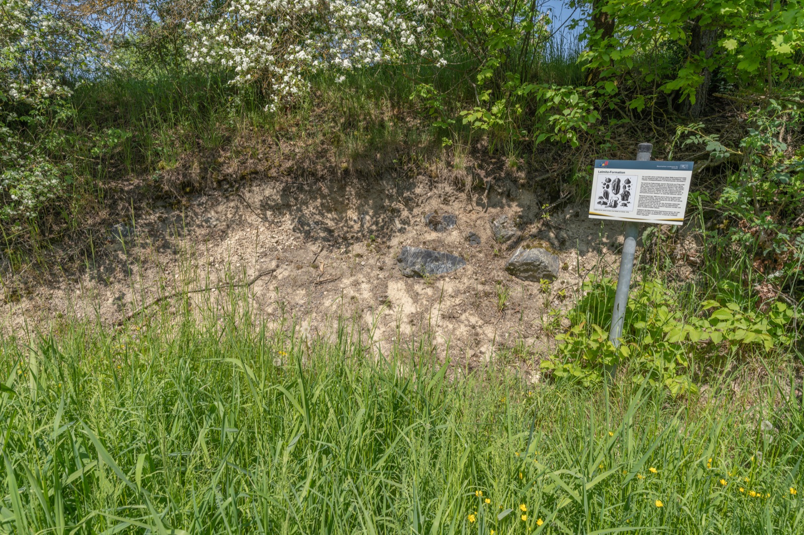 Leimitz formation in Germany