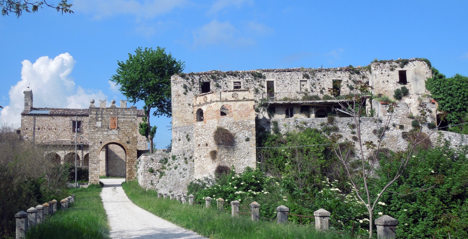 Faraone in Italy