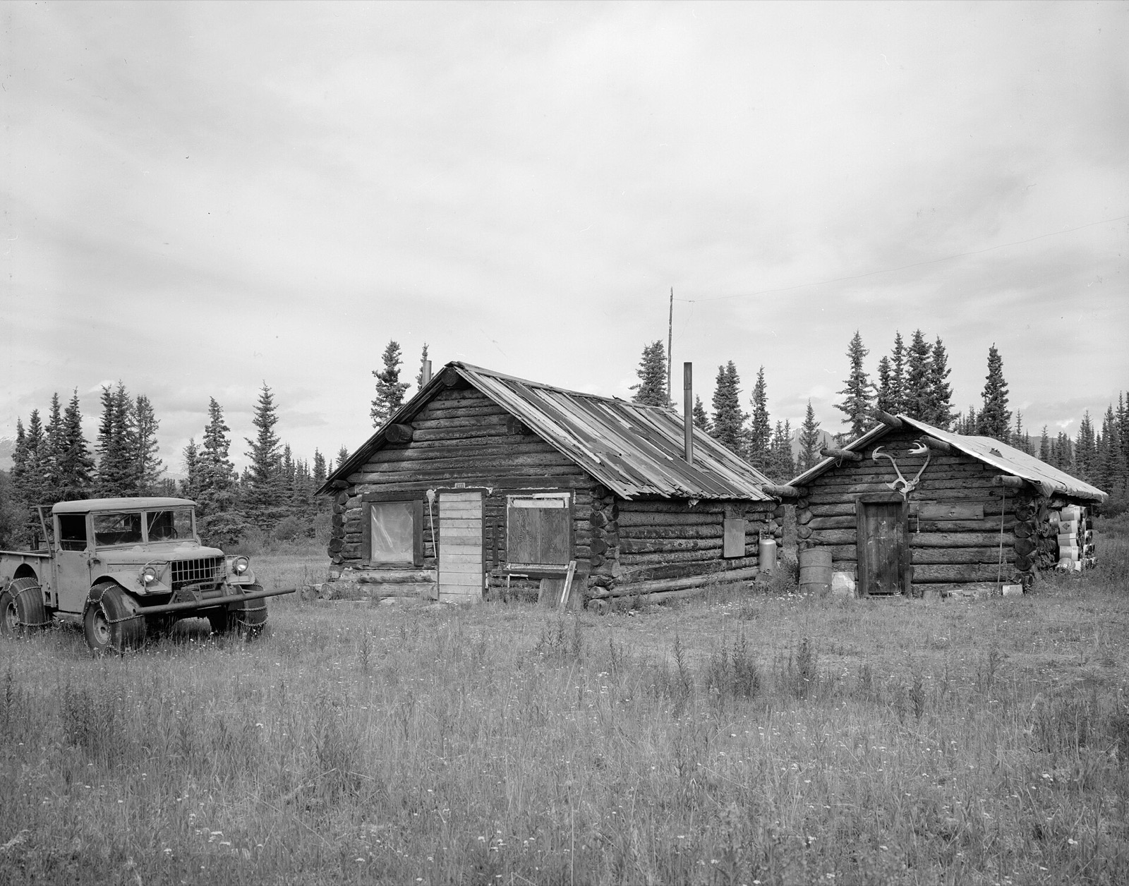 Chisana in United States