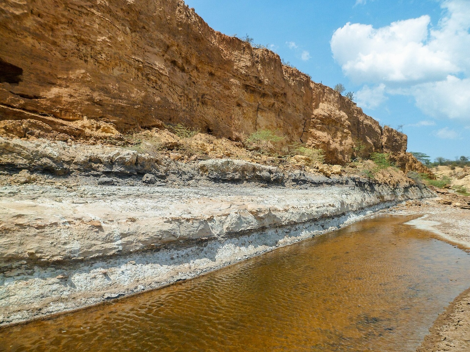 Urumaco Formation in Venezuela