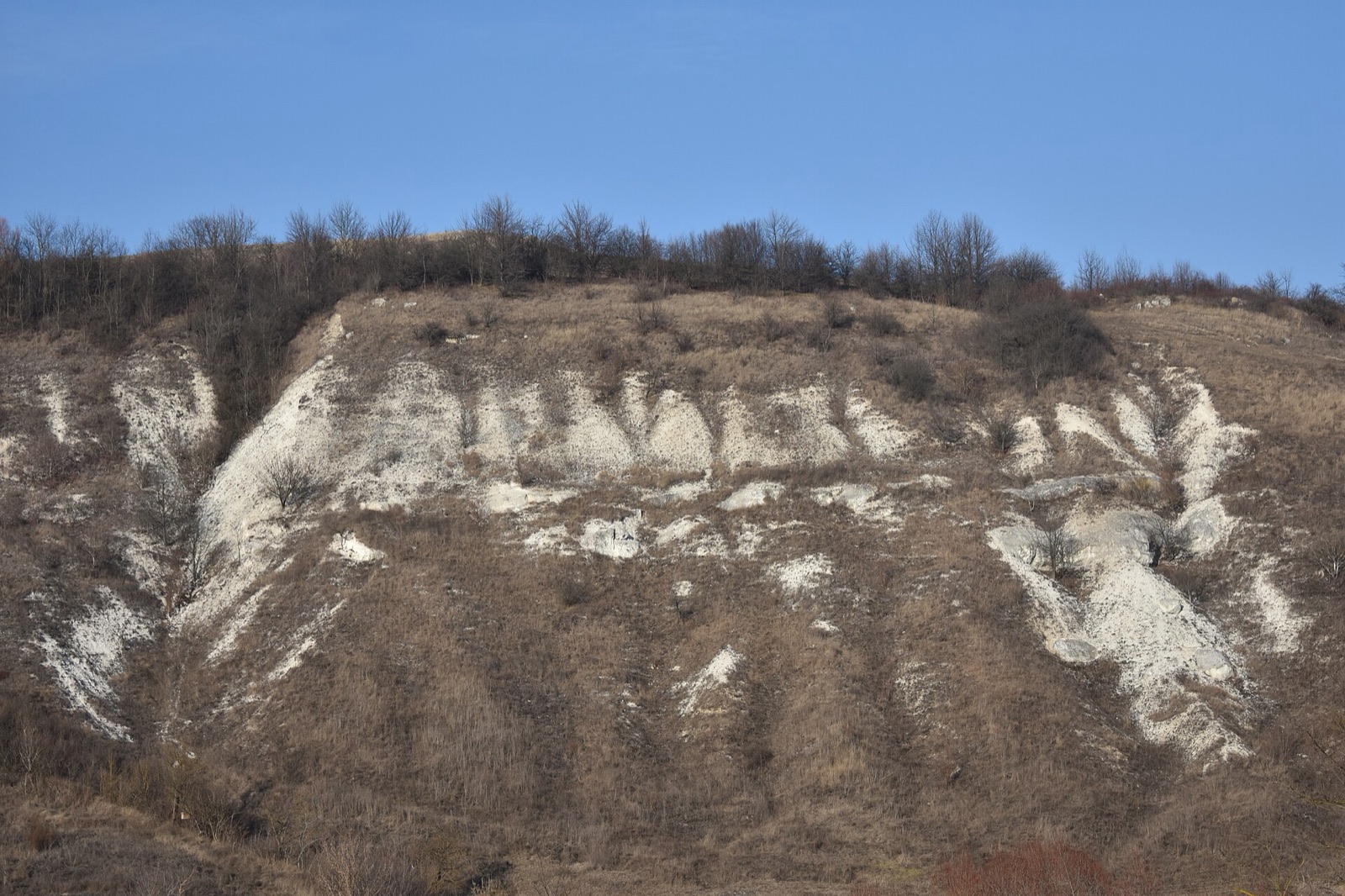 Cenomanian Limestones in Ukraine