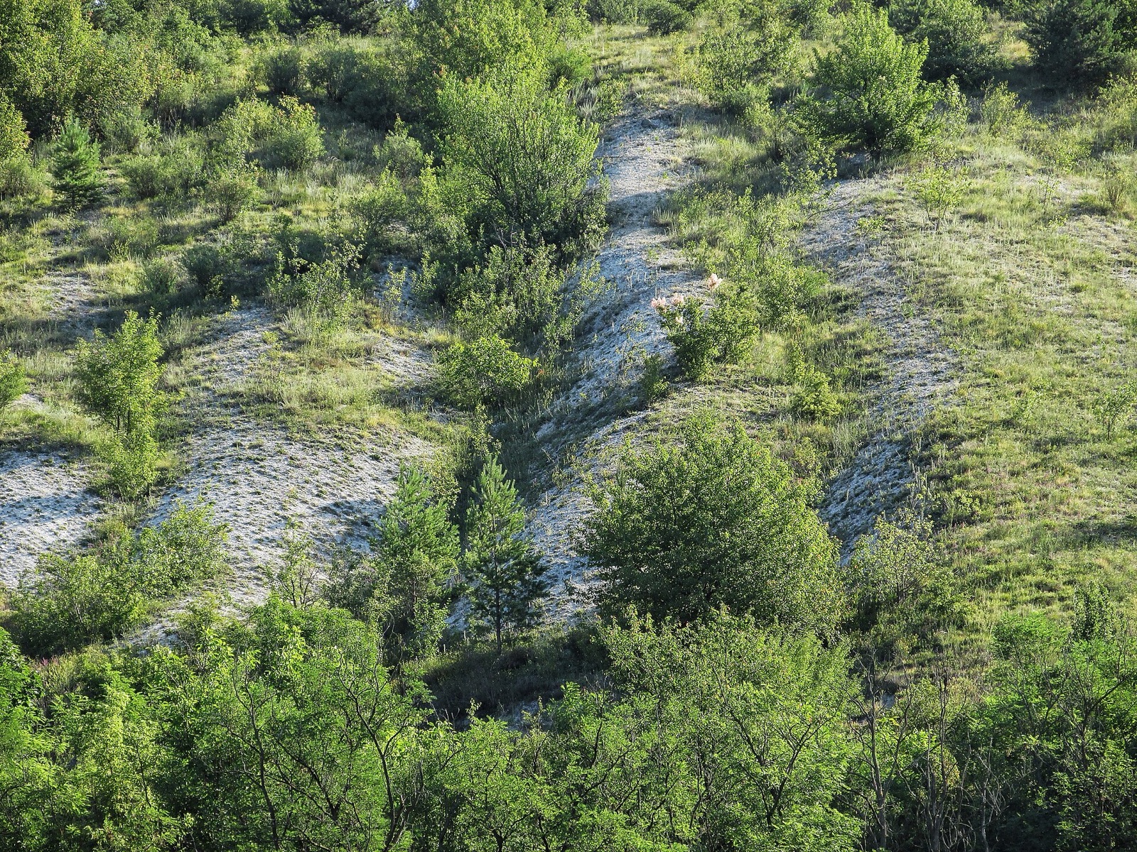Cenomanian Limestones in Ukraine